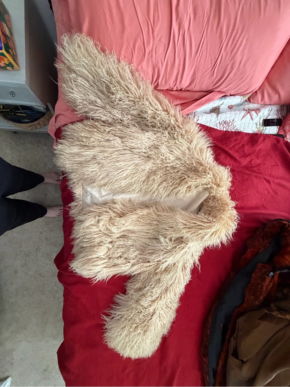REAL Curly Lamb Fur Cropped Jacket in Beige - Women's Cozy Coat